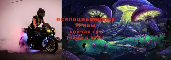 spice Армянск