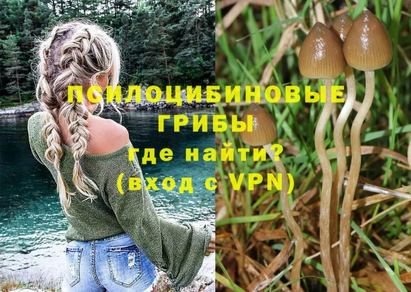 каннабис Алексин