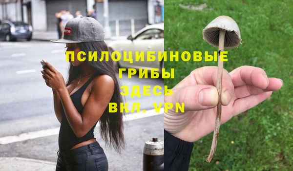 МДПВ Алексеевка