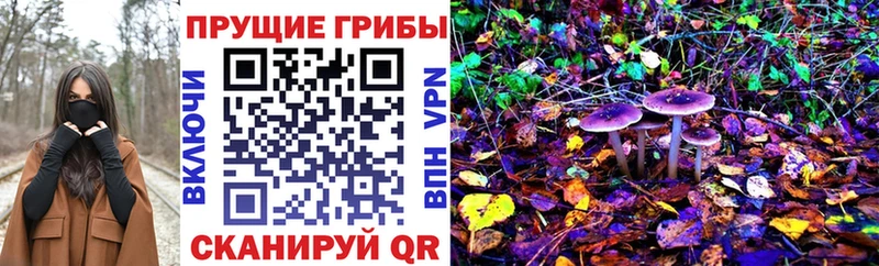 Псилоцибиновые грибы Psilocybine cubensis  Тайшет 